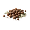 Photo of Allspice ingredient