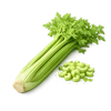 Photo of Celery ingredient