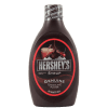 Photo of Chocolate Syrup ingredient