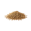 Photo of Cumin Seed ingredient