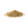 Photo of Fennel Seeds ingredient