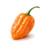 Photo of Habanero Peppers ingredient