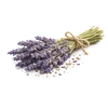 Photo of Lavender ingredient