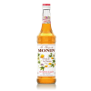 Photo of Passion Fruit Syrup ingredient
