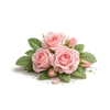 Photo of Rose ingredient