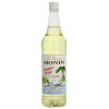 Photo of Vanilla Syrup ingredient